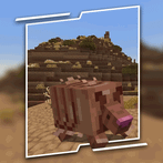 Armadillo Addons for MCPE