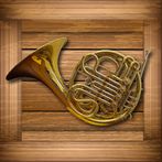 Toddlers French Horn