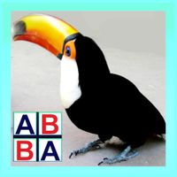 ABC Memory Learn The Alphabet