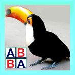 ABC Memory Learn The Alphabet