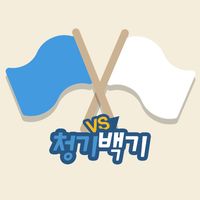 Battle Blue&White Flag