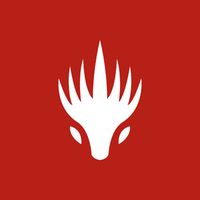 Dragonfire Chronicles