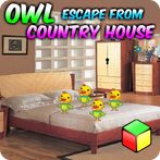 Owl Escape From Country House