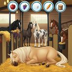 Princess Horse Caring 3