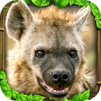 Hyena Simulator