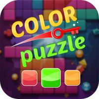 Color Puzzle Game Match Solve