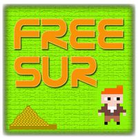 Freesur 8 bit retro game