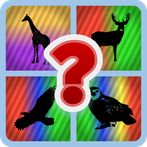 Guess The Picture