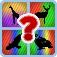 Guess The Picture