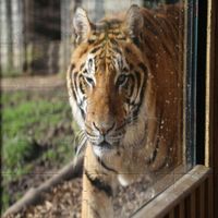 Beautiful Jigsaw Puzzle