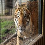 Beautiful Jigsaw Puzzle