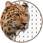 Wild Animal Pictures Coloring