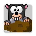 HIT THE MOLE