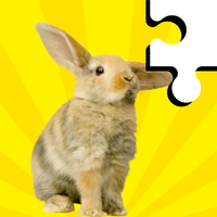 Rabbit Jigsaw - Puzzle Games