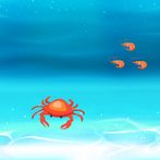 Shrimping