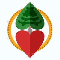 Kartice — pravidla karetních h