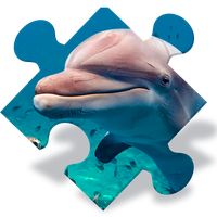 Free Dolphin Jigsaw Puzzles