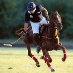 Polo 3D