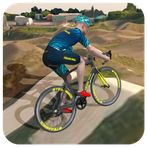 BMX Bicycle Stunt Game