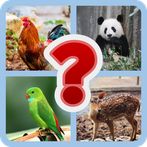 MY GUESS THE PIC