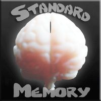Standard Memory