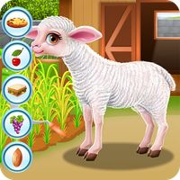 Baby Sheep Care