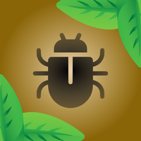 Bug Smasher