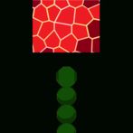 Snake VS Stone