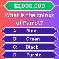 InstaQuiz: Play & Earn Rewards