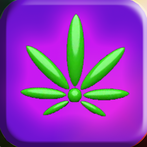 Budtender: LA Green Believers!