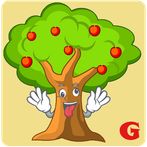 Guymenje: Miweli Agaç