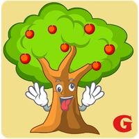 Guymenje: Miweli Agaç