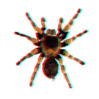 SpiderSplat3D