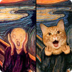 Cat! Spot the difference