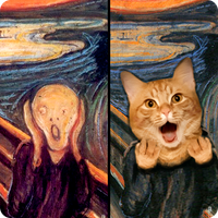 Cat! Spot the difference