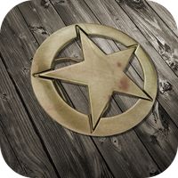 Tin Star