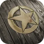 Tin Star
