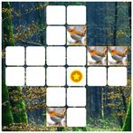 Quick Puzzle - Birds Block Puz