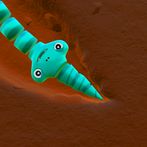 DrillHead