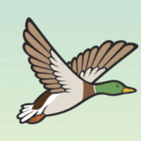 Simple Duck Hunting Shoot Up