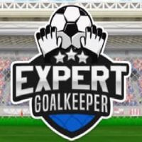Expert Goalie
