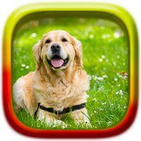 Picture Puzzle: Dogs