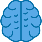 Quiz brain - қызықты сұрақтар