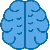 Quiz brain - қызықты сұрақтар