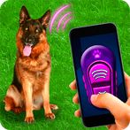 Training Dog Clicker Trinket
