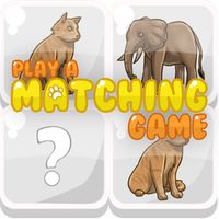 Play Matching Game