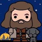 Hogwarts Wizard Puzzle