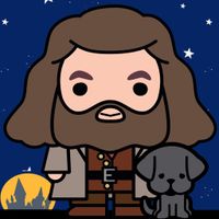 Hogwarts Wizard Puzzle