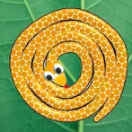 Happy Snakes