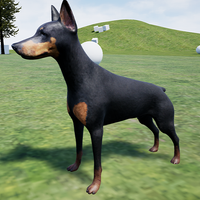 Happy Doberman Dog Simulator
